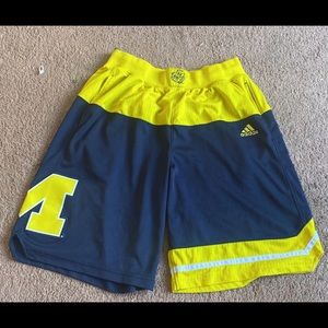 Michigan Shorts